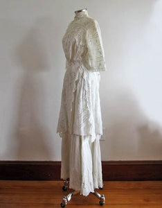 1900s Edwardian Tea Gown Left Side